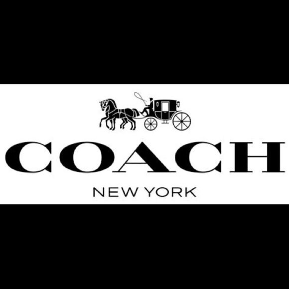 ⭐️ᑕ O ᗩ ᑕ ᕼ ᗷ ᗩ G S ⭐️ TOTES * SᗩTᑕᕼEᒪS * ᑕᖇOSSᗷOᗪY * ᑭᑌᖇSES - Picture 3 of 4